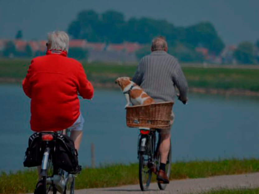 Los mejores deportes para practicar en la tercera edad