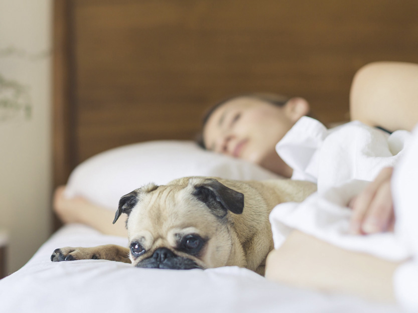 ¿Dormimos menos horas a medida que vamos haciéndonos mayores?