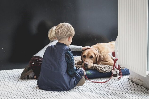 Qué tareas de casa pueden hacer los niños según su edad