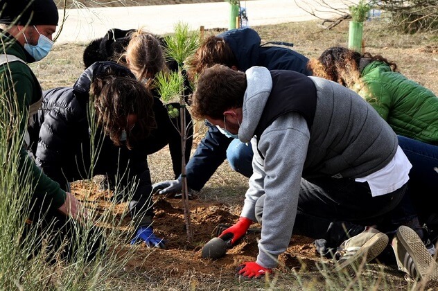 MetLife colabora junto a Arbocity y Arbor Day Foundation en la plantación de  árboles en la Comunidad de Madrid